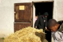 Ferme de Paris