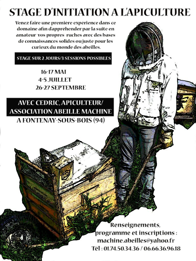 initiation à l’apiculture