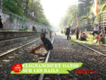 cligancourt_danse_sur_les_rails_-_juin_2012_-_jardins_du_ruisseau.jpg