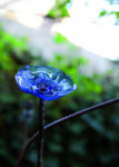 creation_d_un_jardin_extraordinaire_-_dda_delphine_graticola.jpg