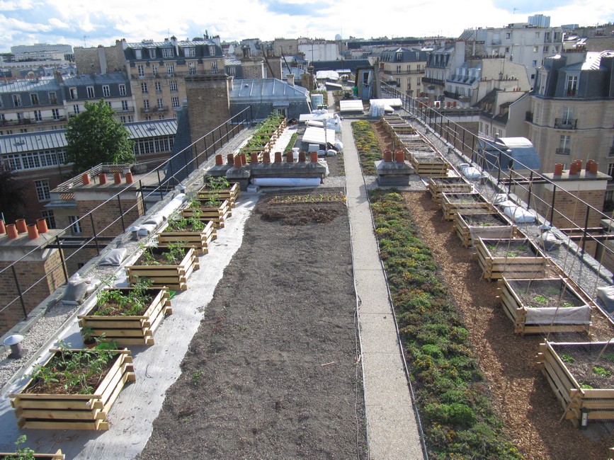 Le potager d’AgroParisTech