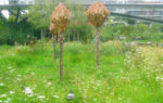 rive_gauche_rive_droite_le_24_aout_2012.jpg
