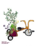 tricycles_wanted_-_paris_label-2.jpg