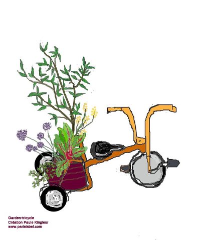 Tricycles wanted