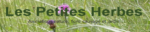 les_petites_herbes.png