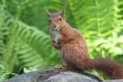 A la découverte de la biodiversité parisienne
