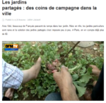 bfm_tv_-_les_jardins_partages_coins_de_campagne_en_ville.png