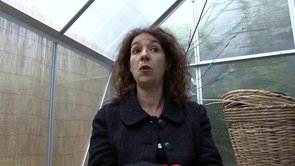 La création de l’Univert