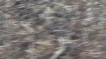 245009087_295.jpg