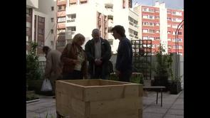 Graine de béton