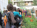 420. Jardin Noëlle Savignat