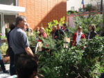 218. Jardin pédagogique de l'école élémentaire d'Oran