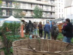 420. Jardin Noëlle Savignat