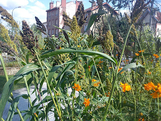Parcours botanique tinctorial