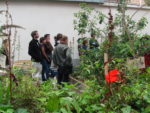 230. Jardin pédagogique de l'école élémentaire d'Oran