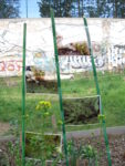 le_jardin_des_jeunes_pouces_-_paris_11eme_-_photo_de_laurene_caudal_-_2.jpg