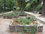 le_jardin_marcotte_-_paris_11eme_-_photo_de_laurene_caudal_2_.jpg