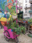 le_jardin_nomade_-_paris_11eme_-_photo_de_laurene_caudal_2.jpg