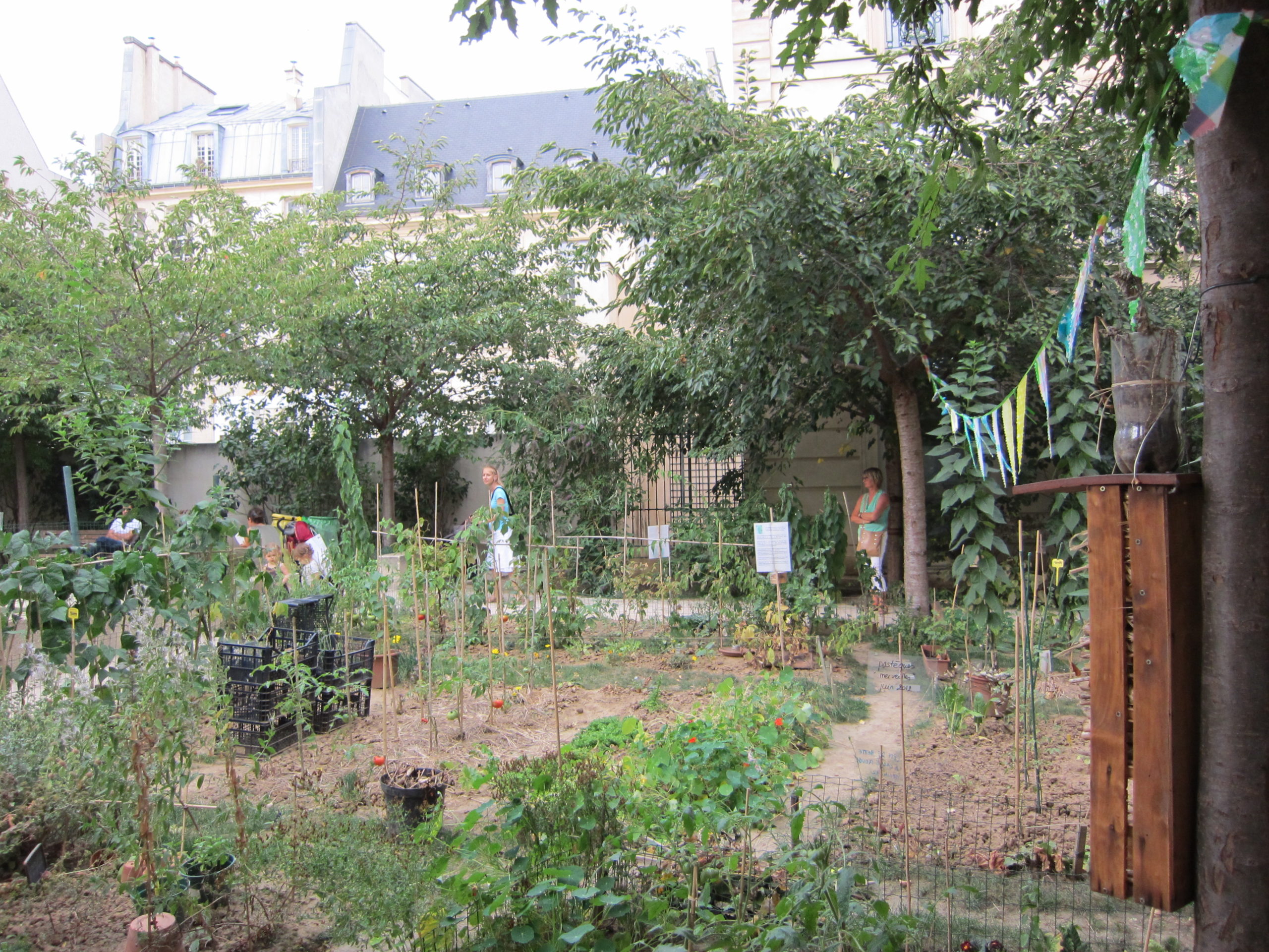 Les 1001 Feuilles