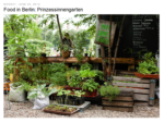 prinzessinnengarten_-_berlin_-_petition.png