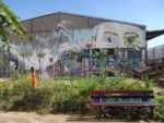 Les fresques murales réalisées par un habitant de la tour