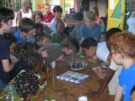 Fete_du_Jardin_des_Deux_Nethes_-juin_2011-9.jpg