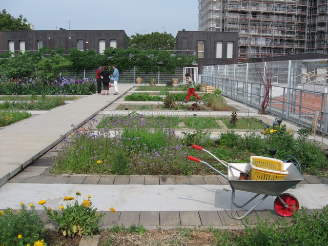 Le jardin sur le Toit