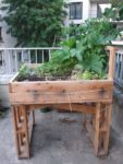 Le Jardin pour tous : bacs surélevés qui permettent à des personnes à mobilité réduite de jardiner