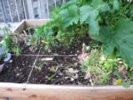 Technique du jardinage au carré - Kit du Jardin pour tous