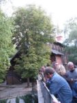 IMG_4773.jpg