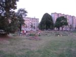 IMG_5151.jpg