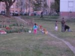 IMG_5153.jpg