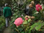 Jardin_Nomade_-_Paris_11eme_-_14.jpg