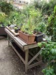 table de jardinage