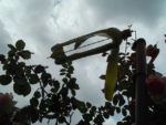 Les éoliennes