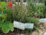Jardin_partage_Choisi_-_Paris_13eme_-_10.jpg