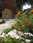 Jardin_partage_Choisi_-_Paris_13eme_-_15.jpg