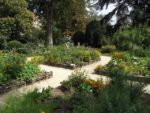 Jardin_partage_Choisi_-_Paris_13eme_-_18.jpg