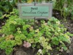 Jardin_partage_Choisi_-_Paris_13eme_-_21.jpg