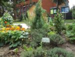 Jardin_partage_Choisi_-_Paris_13eme_-_23.jpg