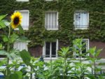 Jardin_partage_Choisi_-_Paris_13eme_-_27.jpg