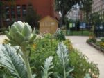 Jardin_partage_Choisi_-_Paris_13eme_-_29.jpg