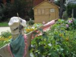 Jardin_partage_Choisi_-_Paris_13eme_-_31.jpg