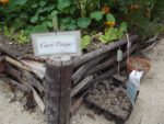 Jardin_partage_Choisi_-_Paris_13eme_-_42.jpg
