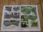 Jardin_partage_Choisi_-_Paris_13eme_-_5.jpg