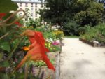 Jardin_partage_Choisi_-_Paris_13eme_-_9.jpg