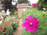 Jardin_partage_Croulebarbe_-_28_juillet_2011_-_10.jpg