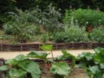 Jardin_partage_Croulebarbe_-_28_juillet_2011_-_12.jpg