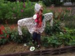 Jardin_partage_Croulebarbe_-_28_juillet_2011_-_15.jpg