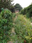 Jardin_partage_Croulebarbe_-_28_juillet_2011_-_28.jpg